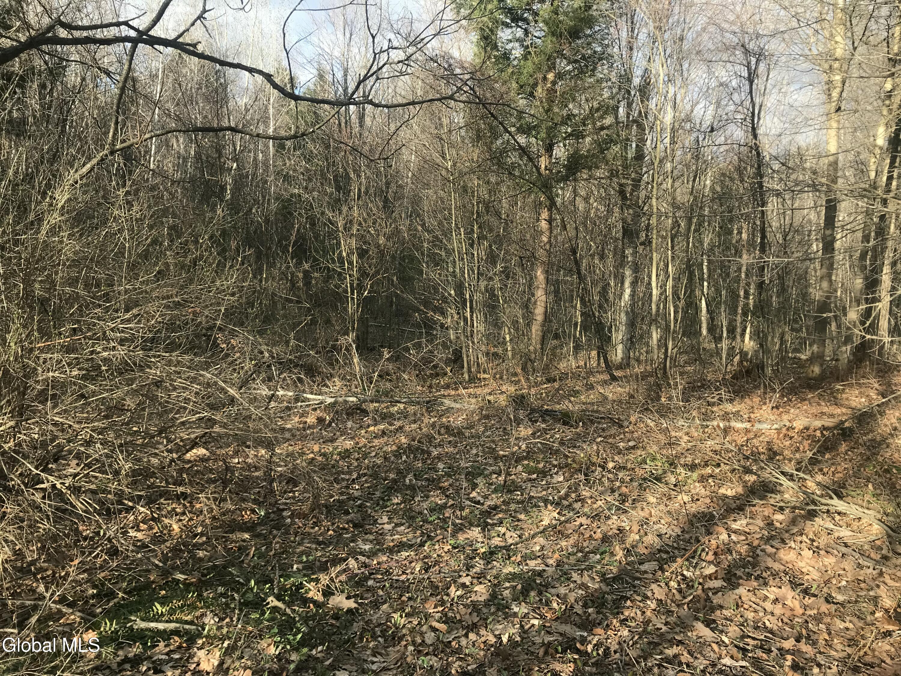 L24.12 Oswegatchie Road Palatine Bridge, NY 13428 - Photo 6 of 27 Partially cleared area of property 2