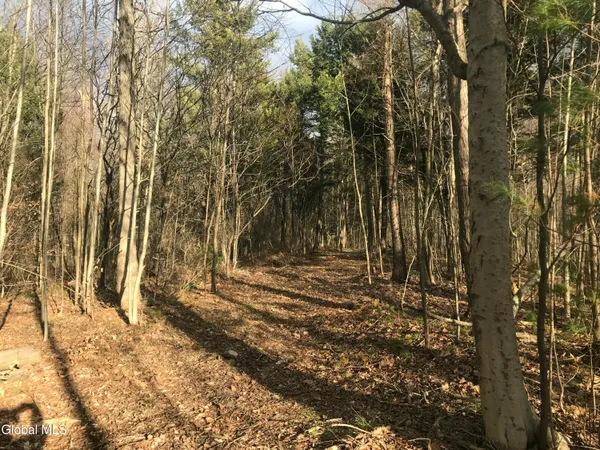 $49,000 | L24.12 Oswegatchie Road, Palatine Bridge, NY 13428