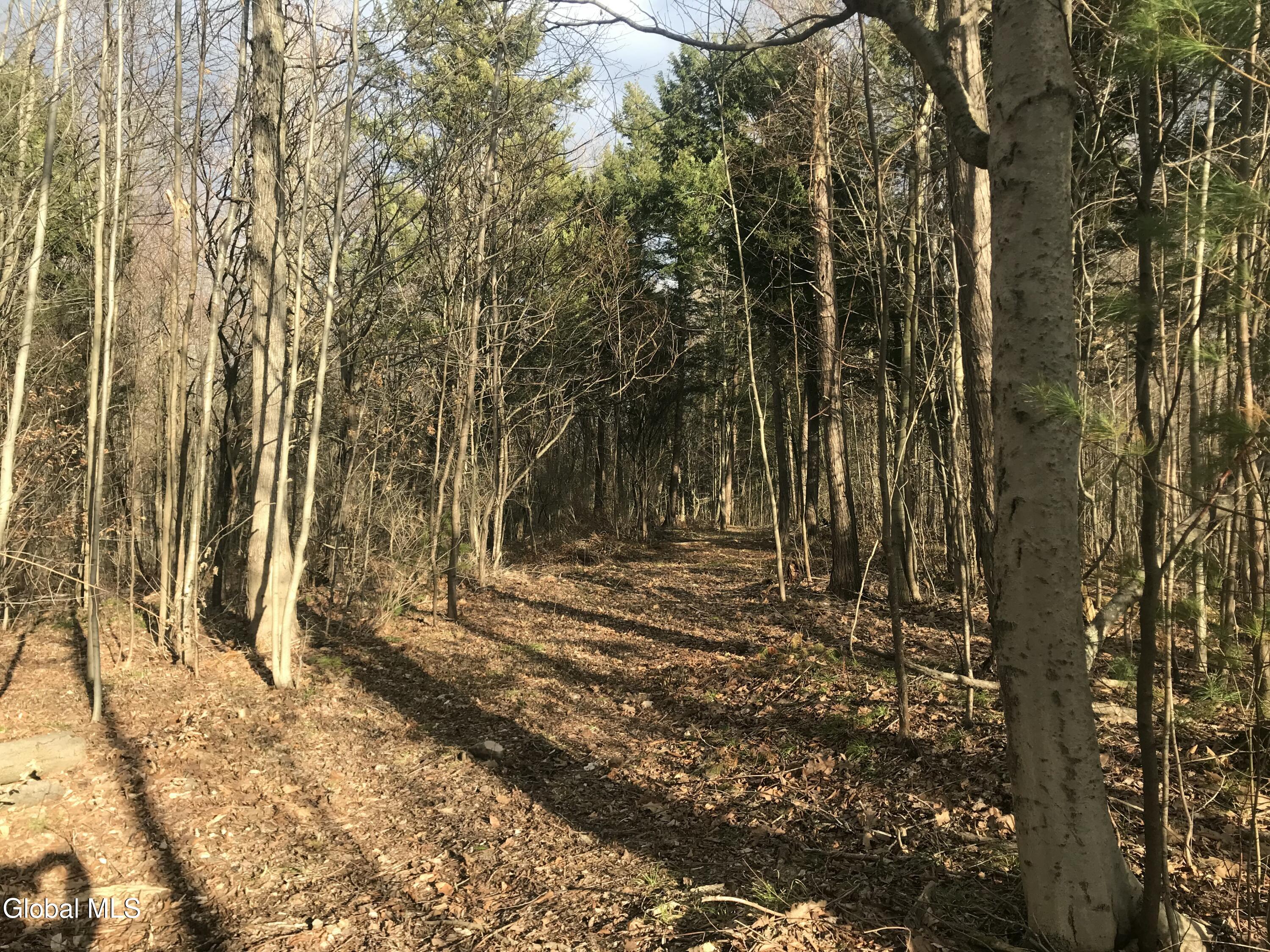 L24.12 Oswegatchie Road Palatine Bridge, NY 13428 - Photo 7 of 27 Partially cleared area of property 3