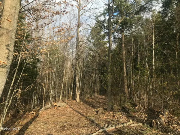 $49,000 | L24.12 Oswegatchie Road, Palatine Bridge, NY 13428