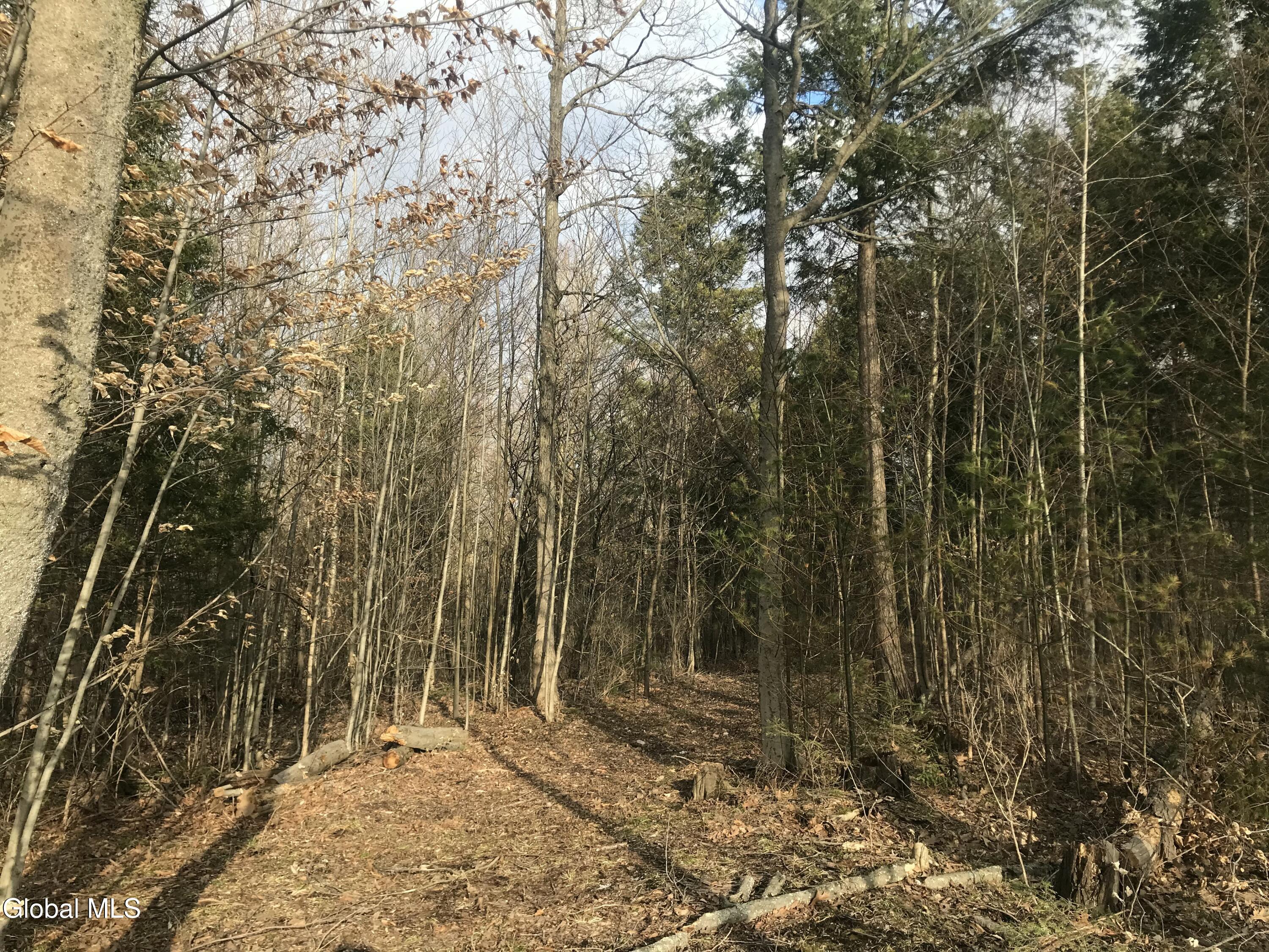 L24.12 Oswegatchie Road Palatine Bridge, NY 13428 - Photo 8 of 27 Partially cleared area of property 4