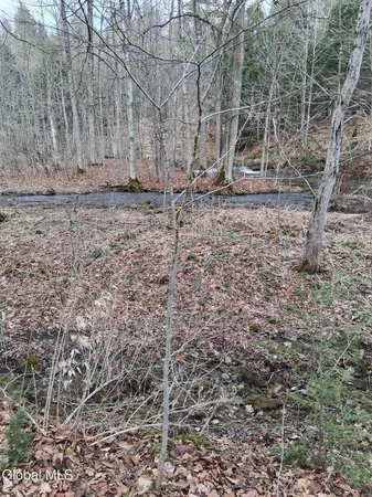 $49,000 | L24.12 Oswegatchie Road, Palatine Bridge, NY 13428