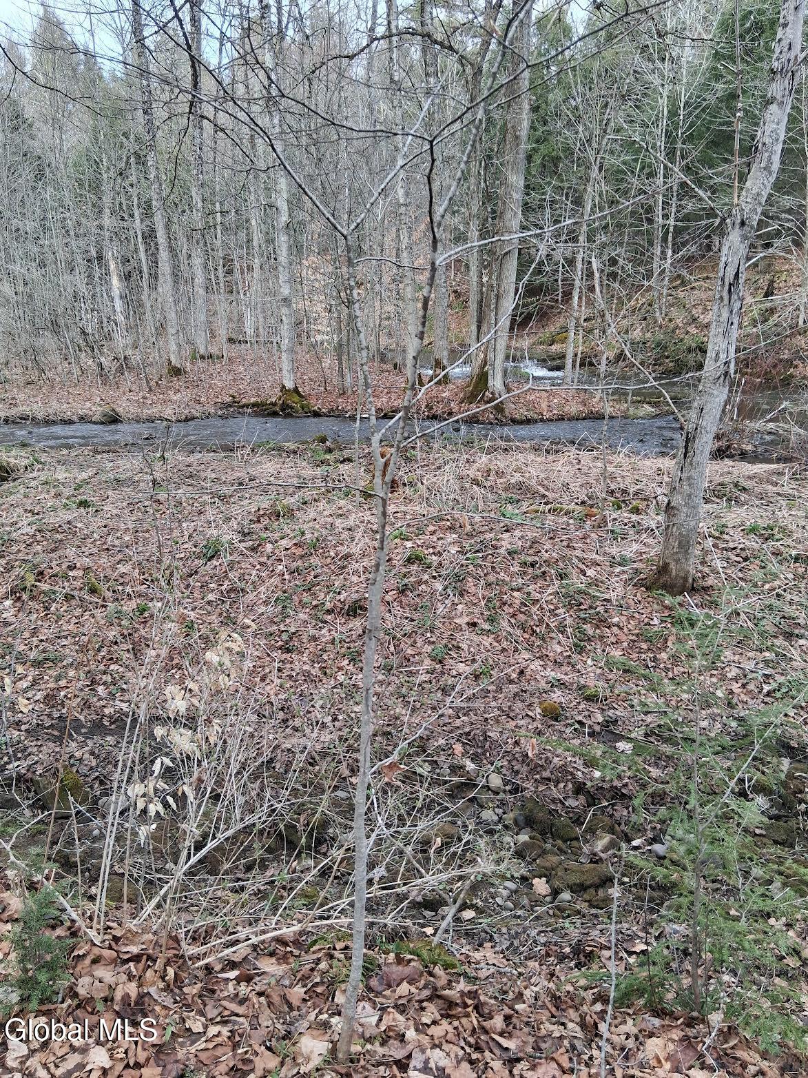 L24.12 Oswegatchie Road Palatine Bridge, NY 13428 - Photo 9 of 27 0-5