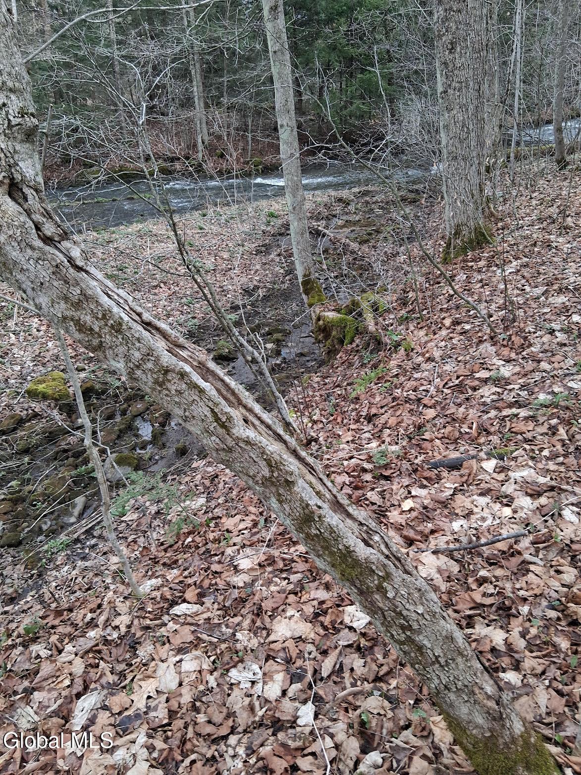 L24.12 Oswegatchie Road Palatine Bridge, NY 13428 - Photo 10 of 27 0-2