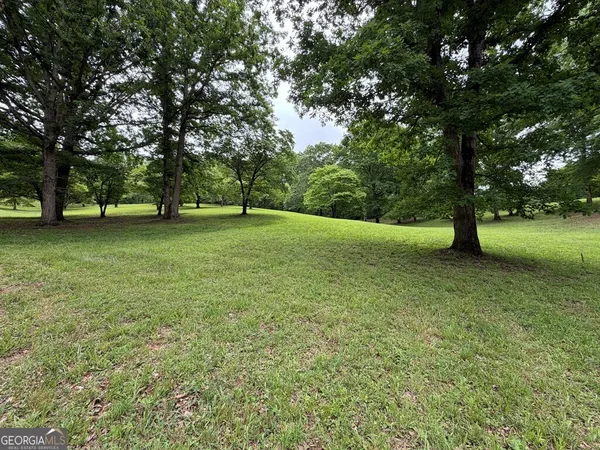 a view of a field with a tree