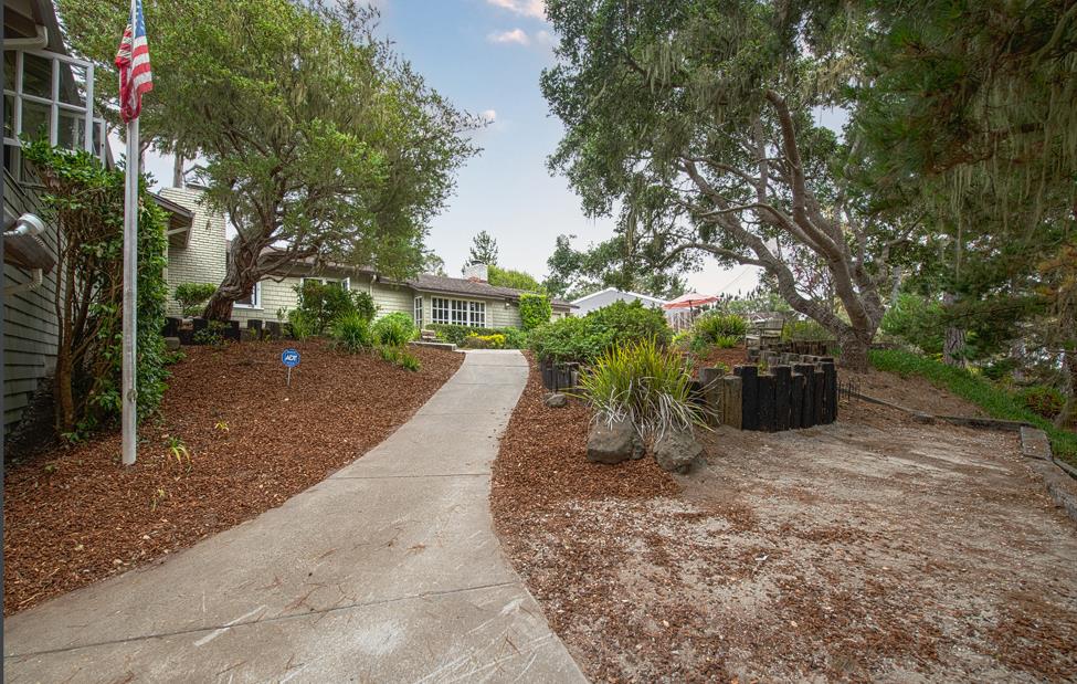 3041 Bird Rock Road Pebble Beach, CA 93953 - Photo 4 of 18 a view of a backyard with potted plants and large trees