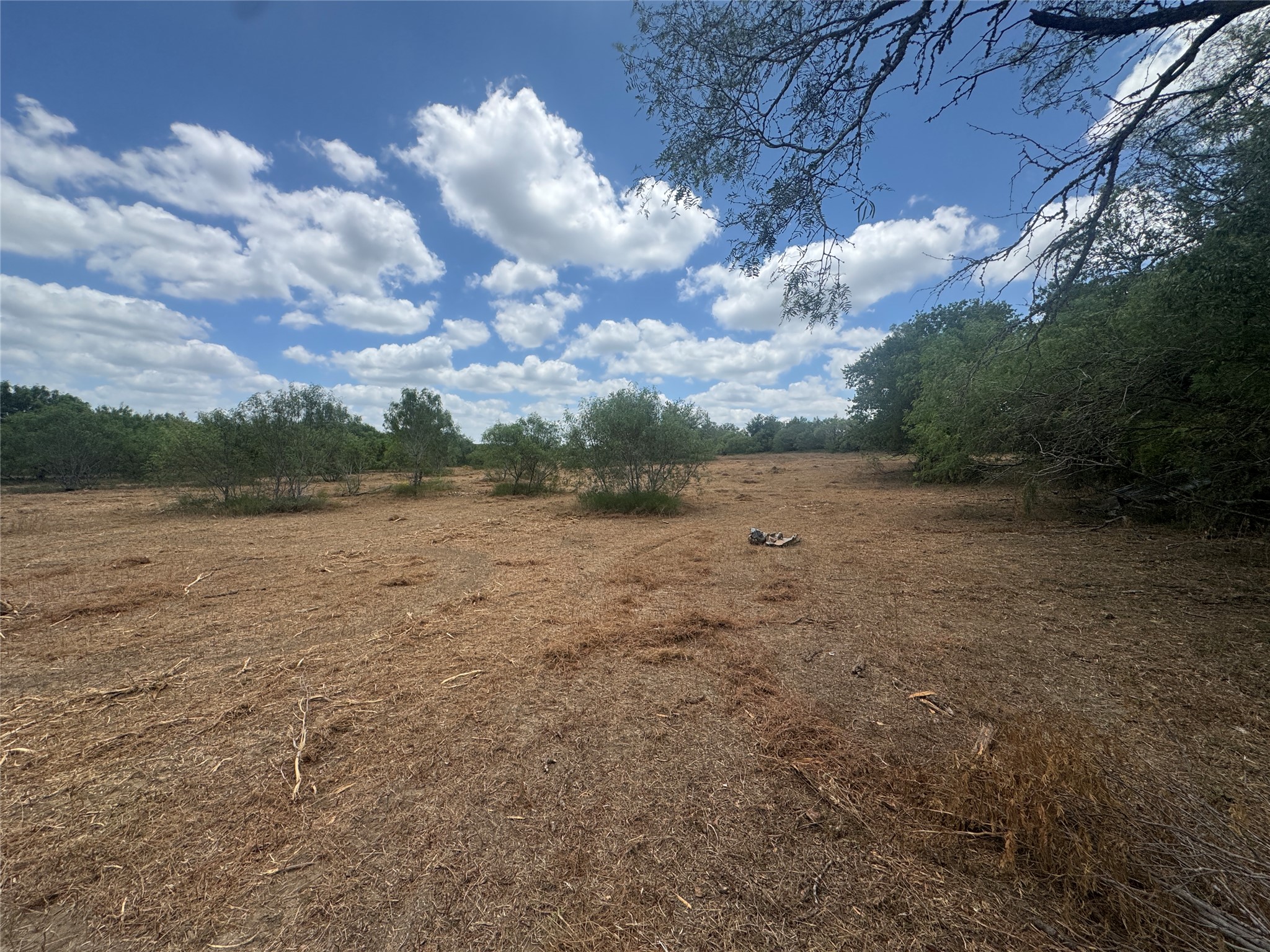 Tbd Sand Hill Road Dale, TX 78616 - Photo 8 of 9 A spacious, cleared lot ready for development, surrounded by natural foliage under an expansive sky.