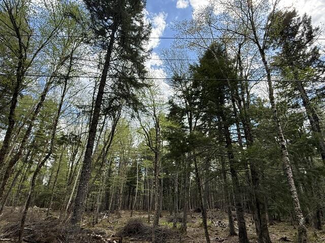Lot12-part Indian Trail Road East Machias, ME 04630 - Photo 22 of 34 Electricity crosses lot