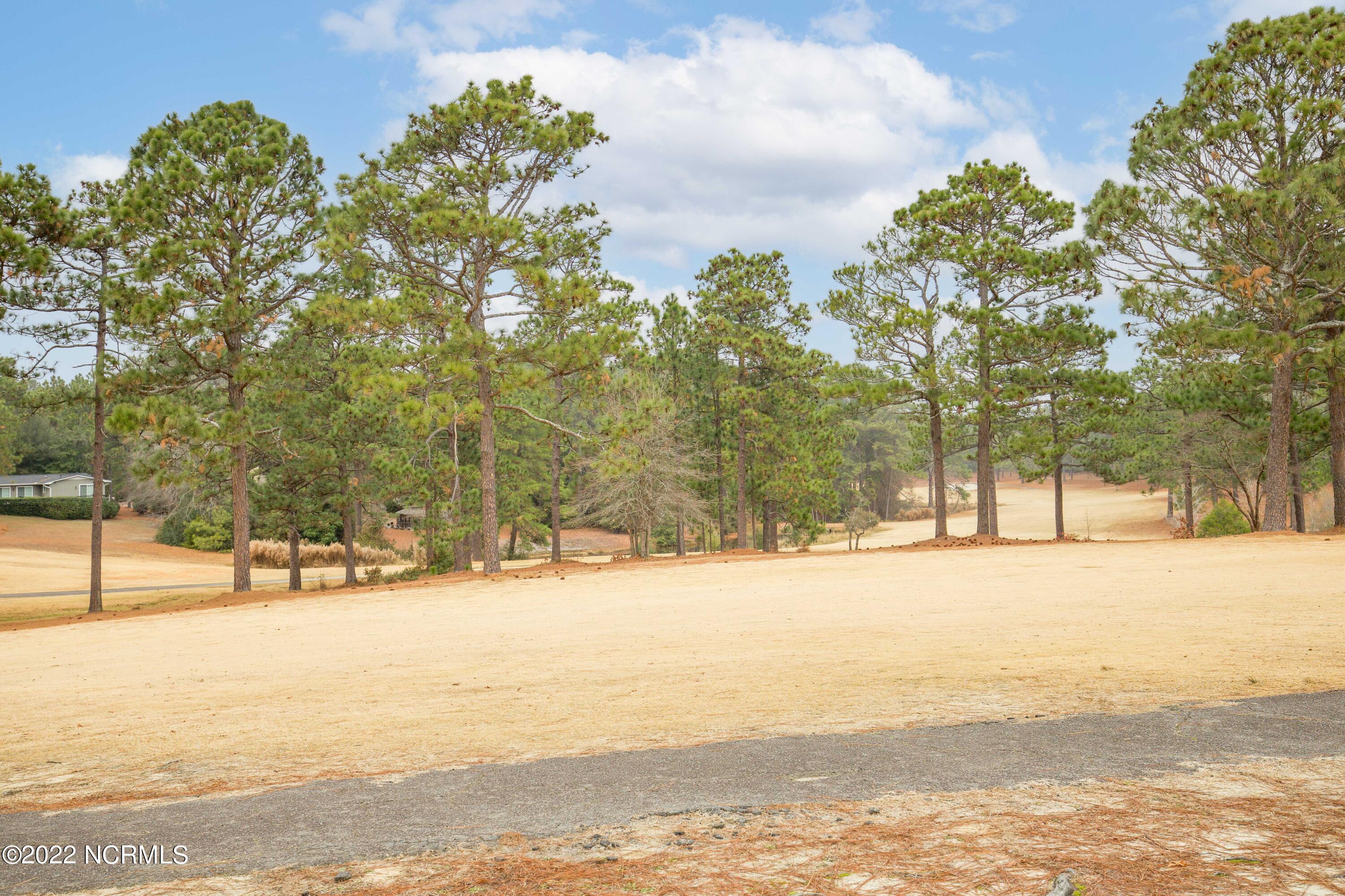 2128 Airport Road Whispering Pines, NC 28327 - Photo 49 of 54 2128 Airport Rd-54
