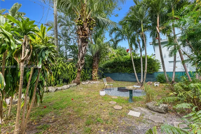 a view of backyard with palm trees