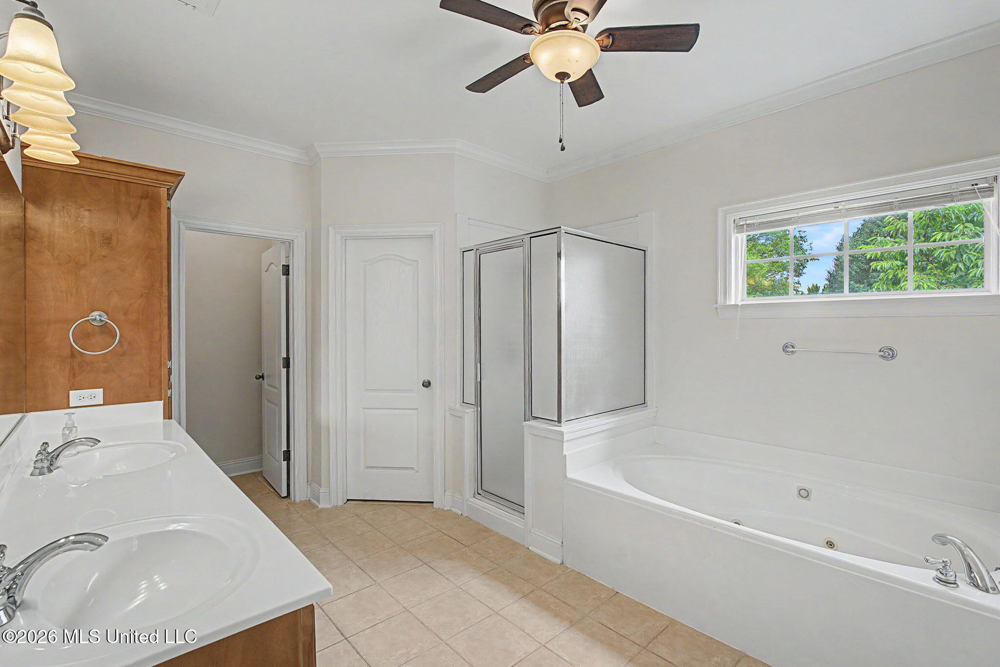 704 Shadow View Drive Hernando, MS 38632 - Photo 27 of 49 Primary Bathroom!