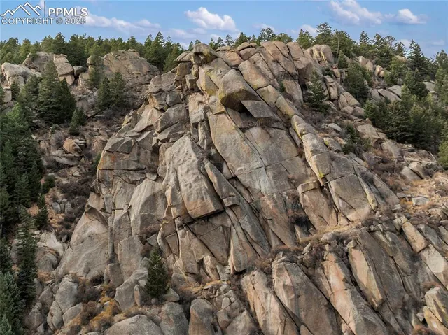 an aerial view of a house with a yard and large trees