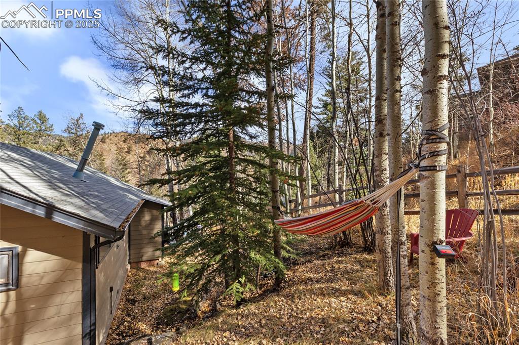 10155 Mountain Road Cascade, CO 80809 - Photo 8 of 47 a outdoor view of a pathway