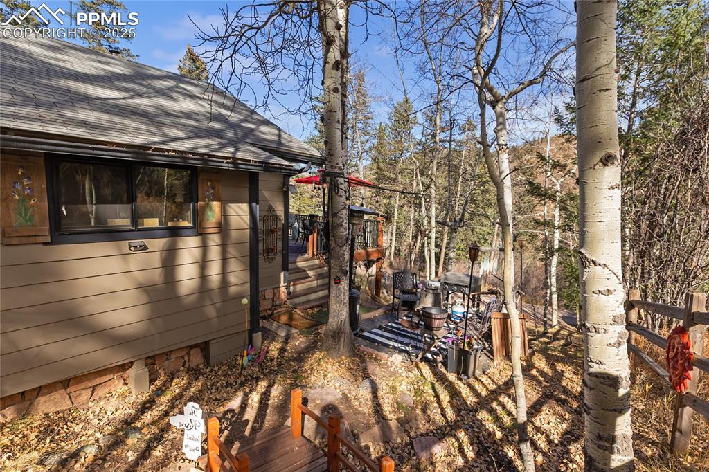 10155 Mountain Road Cascade, CO 80809 - Photo 9 of 47 a view of a pathway of a house