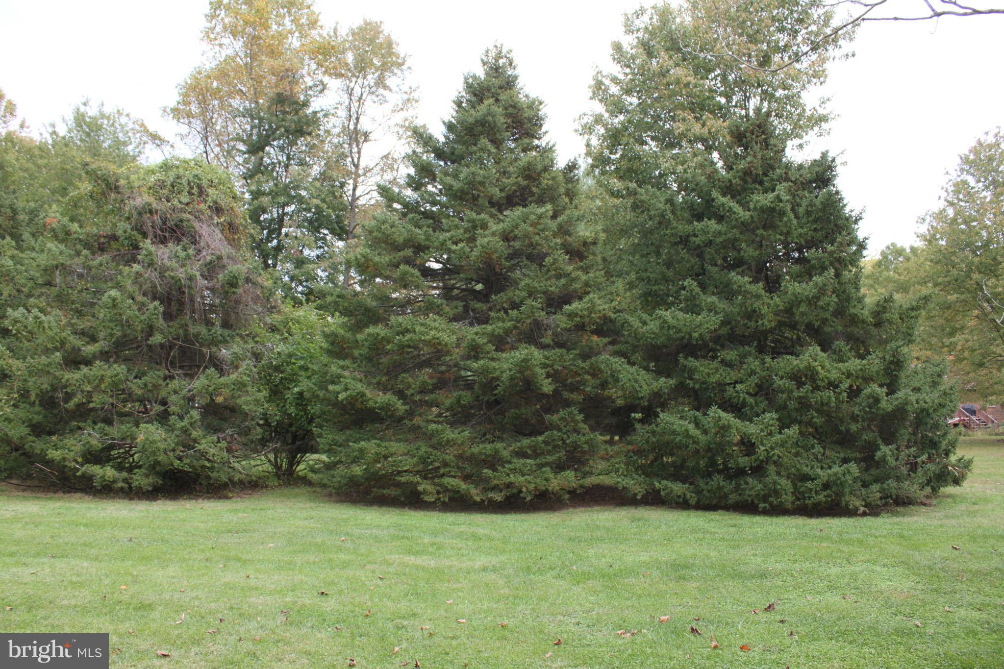 1287 Rossback Road Davidsonville, MD 21035 - Photo 20 of 21 Mature trees offer privacy