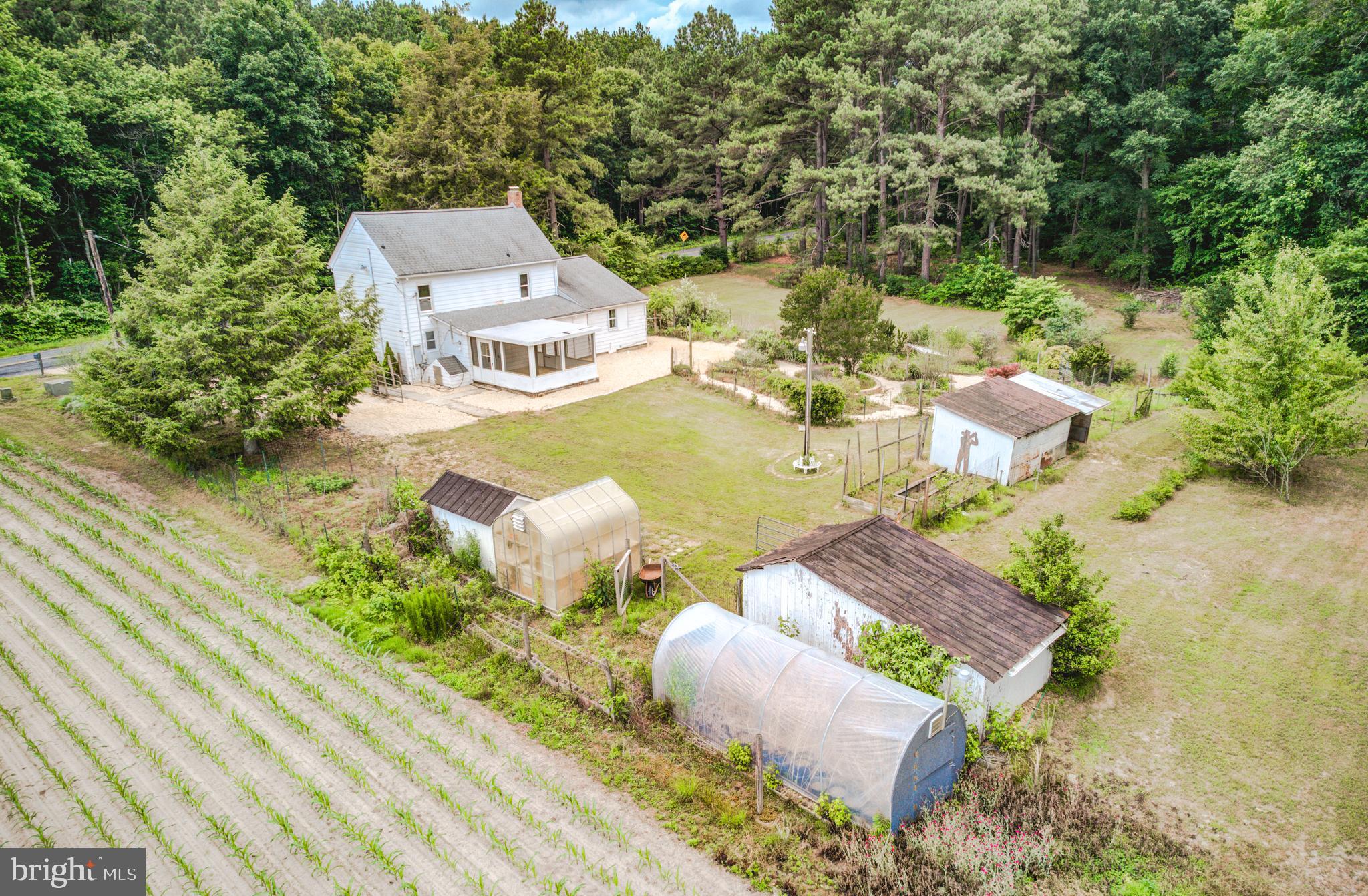 3995 American Corner Road Federalsburg, MD 21632 - Photo 34 of 81 Gallery Image 34