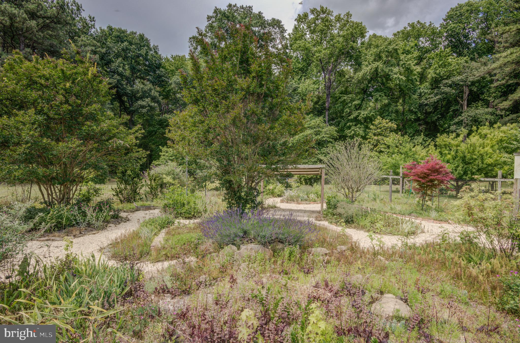 3995 American Corner Road Federalsburg, MD 21632 - Photo 38 of 81 Gallery Image 38