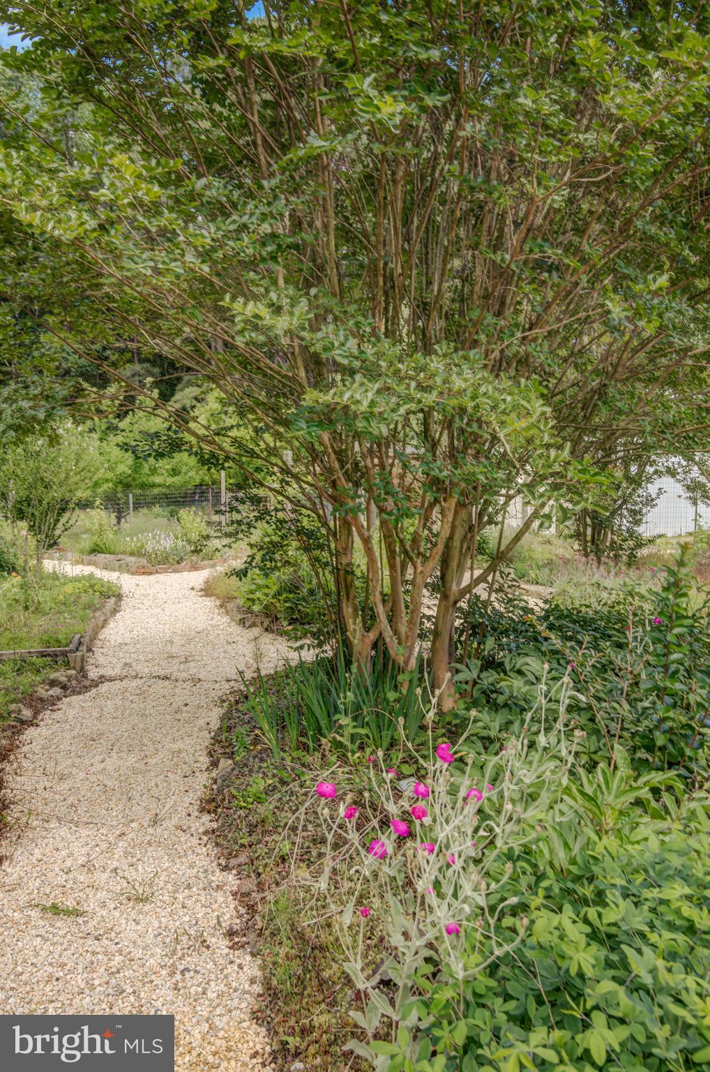 3995 American Corner Road Federalsburg, MD 21632 - Photo 45 of 81 Gallery Image 45