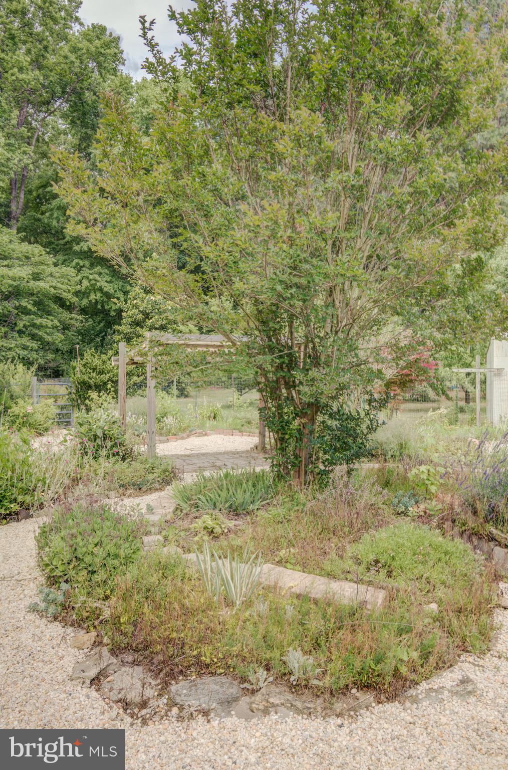 3995 American Corner Road Federalsburg, MD 21632 - Photo 46 of 81 Gallery Image 46
