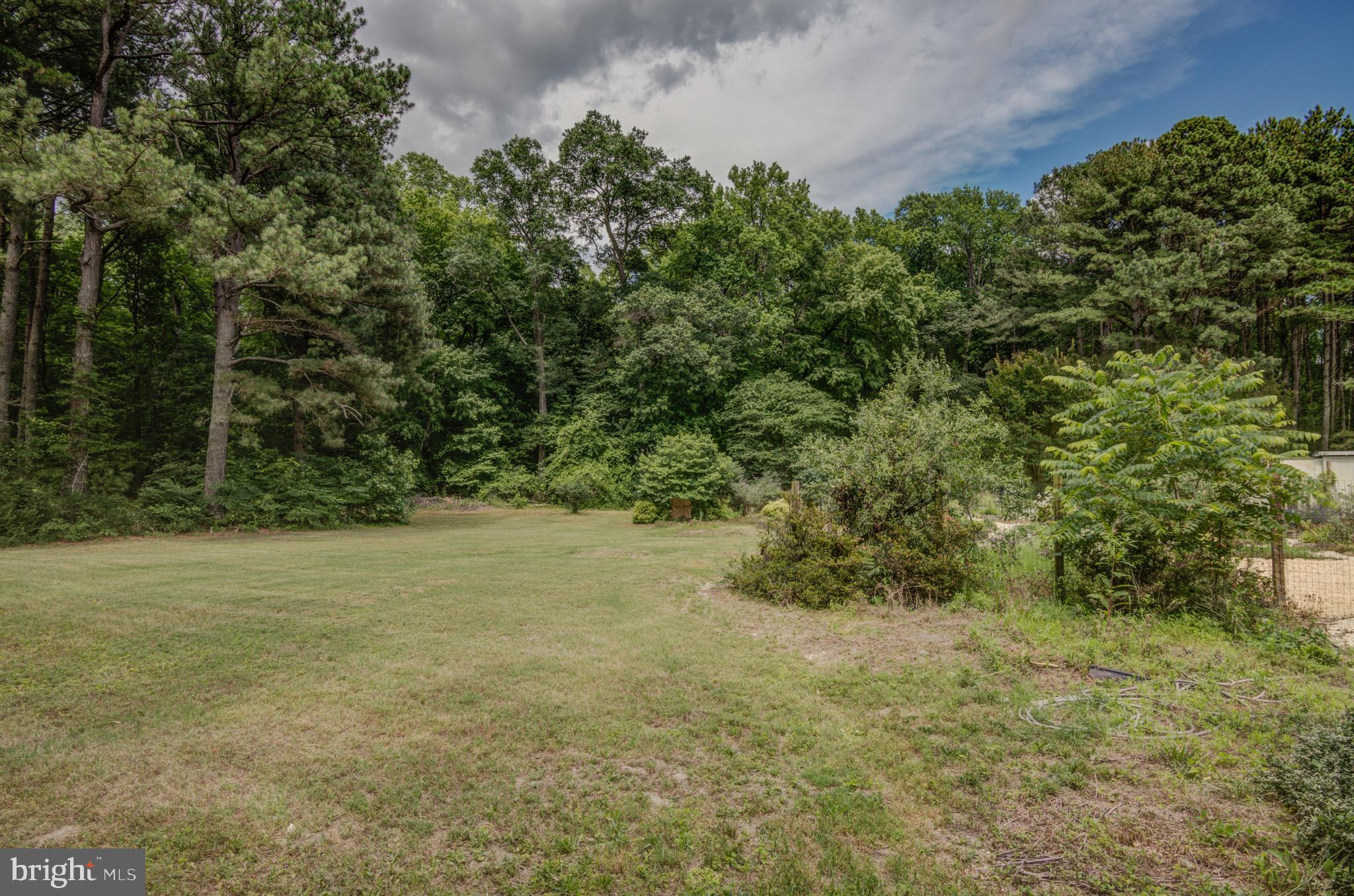 3995 American Corner Road Federalsburg, MD 21632 - Photo 59 of 81 Gallery Image 59