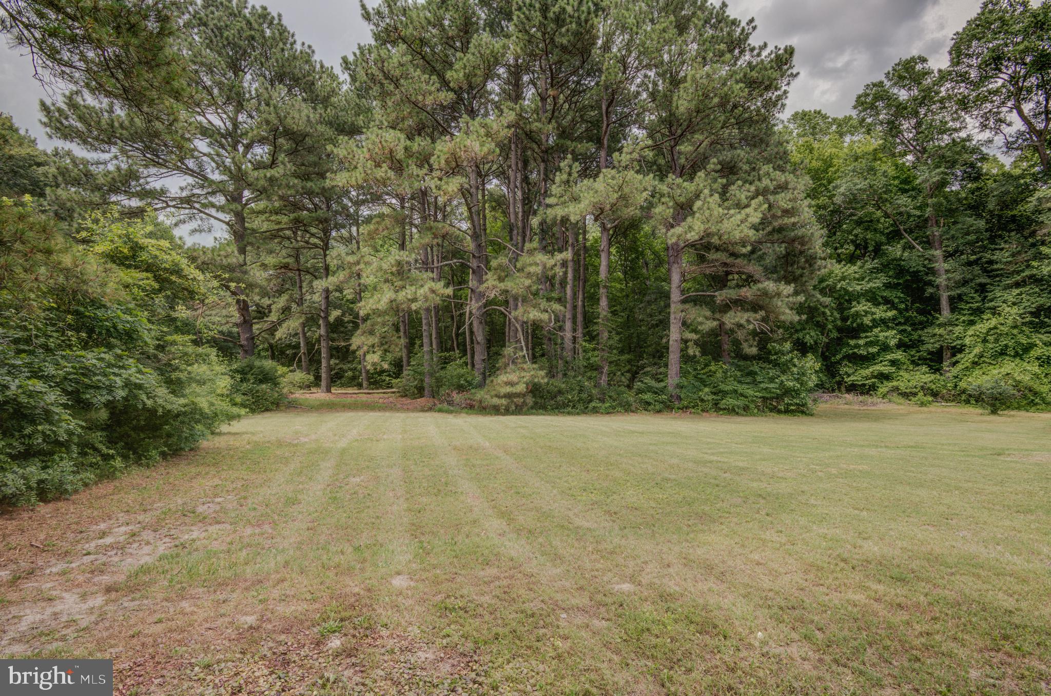 3995 American Corner Road Federalsburg, MD 21632 - Photo 60 of 81 Gallery Image 60