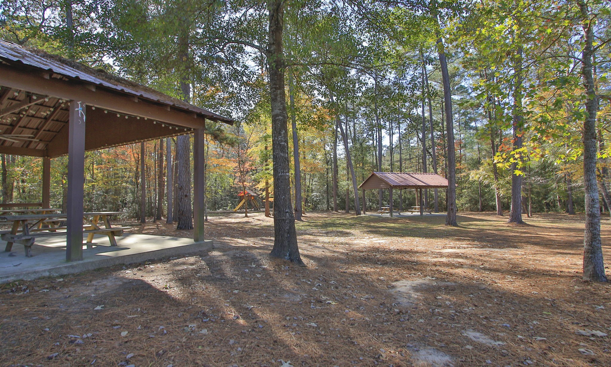12-22-59 Grey Feather Road Huntsville, TX 77340 - Photo 18 of 18 a view of a house with backyard and sitting area