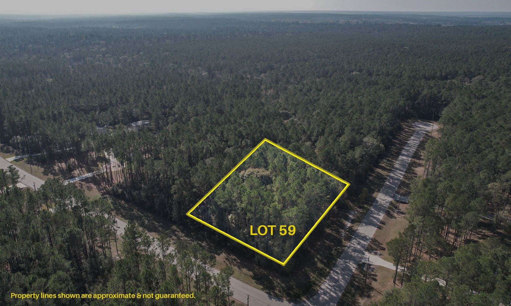 12-22-59 Grey Feather Road Huntsville, TX 77340 - Photo 2 of 18 a view of a bench in a yard