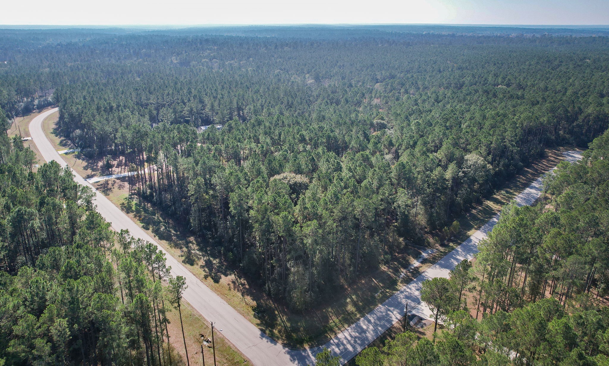 12-22-59 Grey Feather Road Huntsville, TX 77340 - Photo 5 of 18