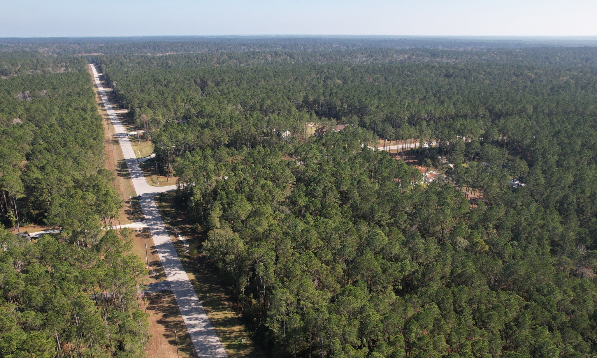 12-22-59 Grey Feather Road Huntsville, TX 77340 - Photo 6 of 18 a view of a city with lush green forest