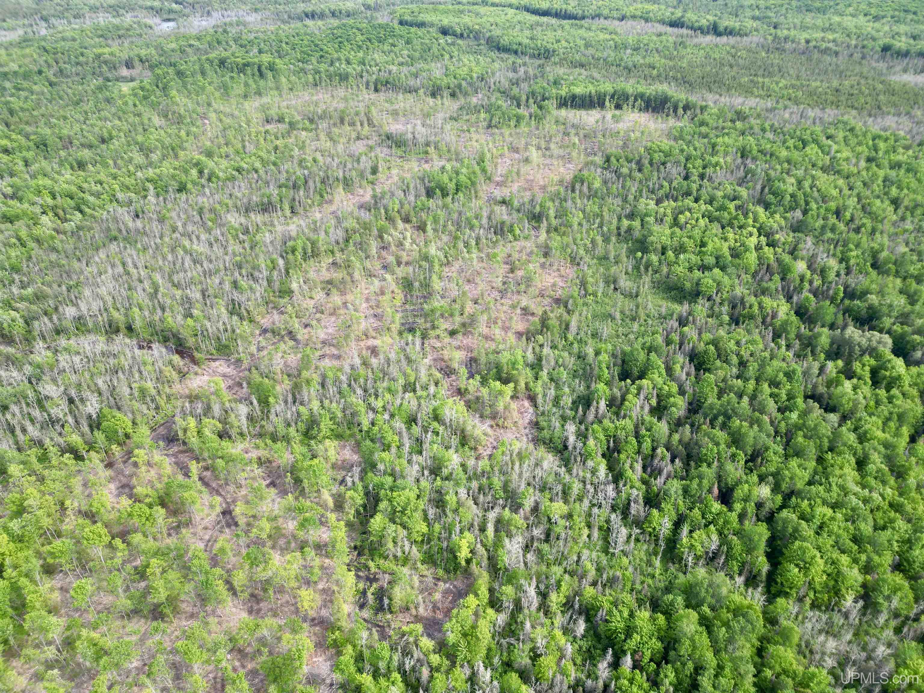 3601 Cr444 Road Rock, MI 49880 - Photo 73 of 78