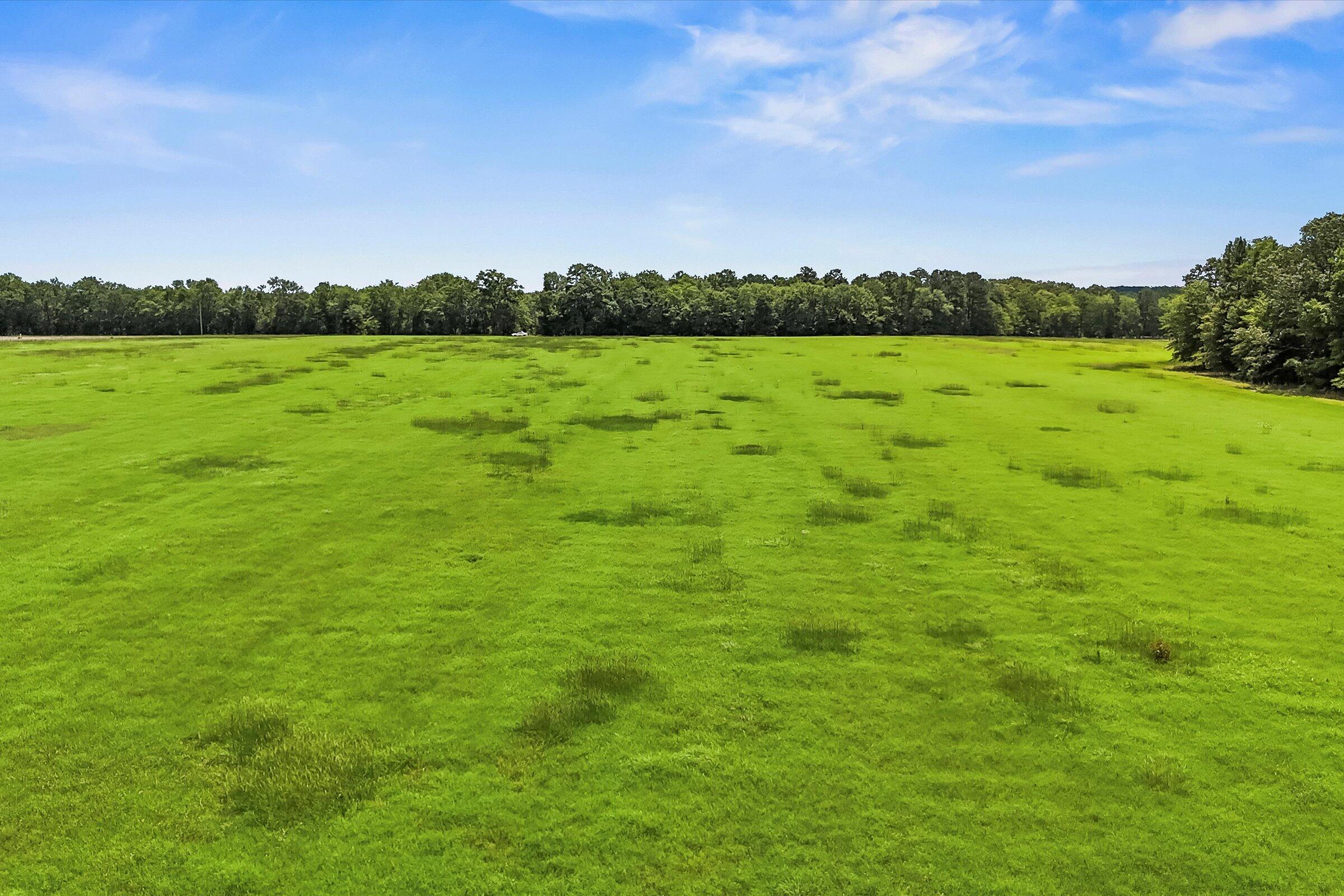 Lot 2 Mt Beulah Road Windsor, SC 29856 - Photo 14 of 15