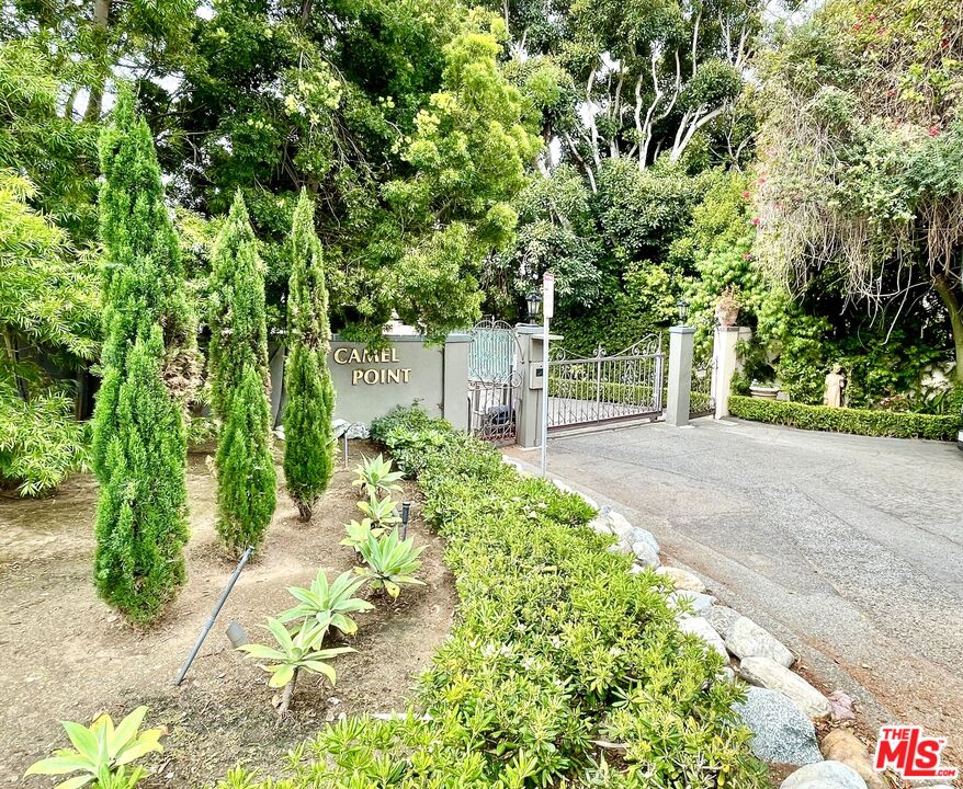 7 Camel Point Drive Laguna Beach, CA 92651 - Photo 51 of 52 a view of yard with large trees