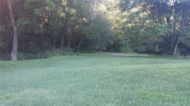 a view of a grassy field with trees in the background