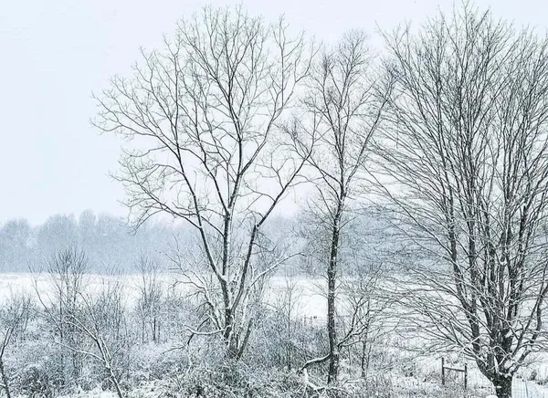 $625,000 | 51534 County Road 673, Lawrence, MI 49064