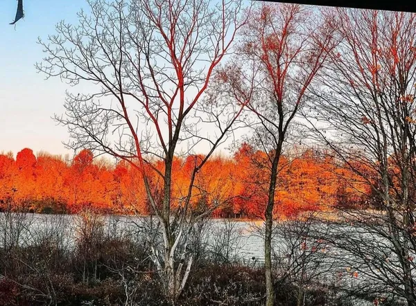 $595,000 | 51534 County Road 673, Lawrence, MI 49064