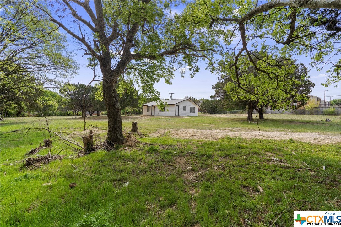 a view of a park with large trees