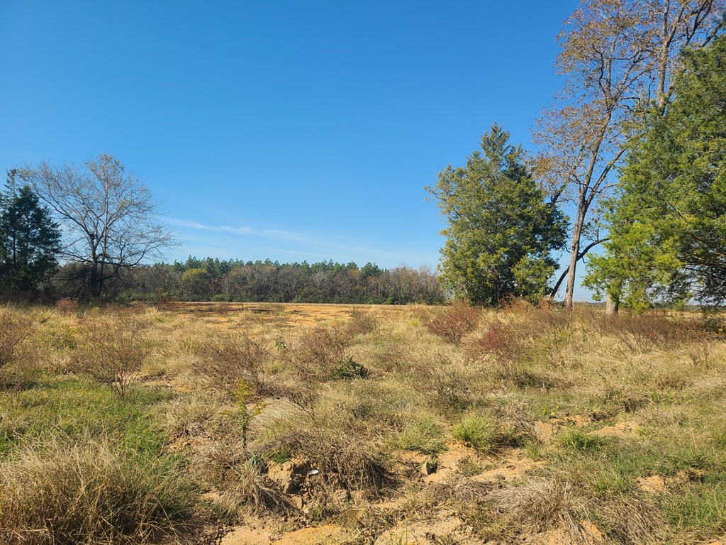 429 Summer Road Slocomb, AL 36375 - Photo 2 of 8