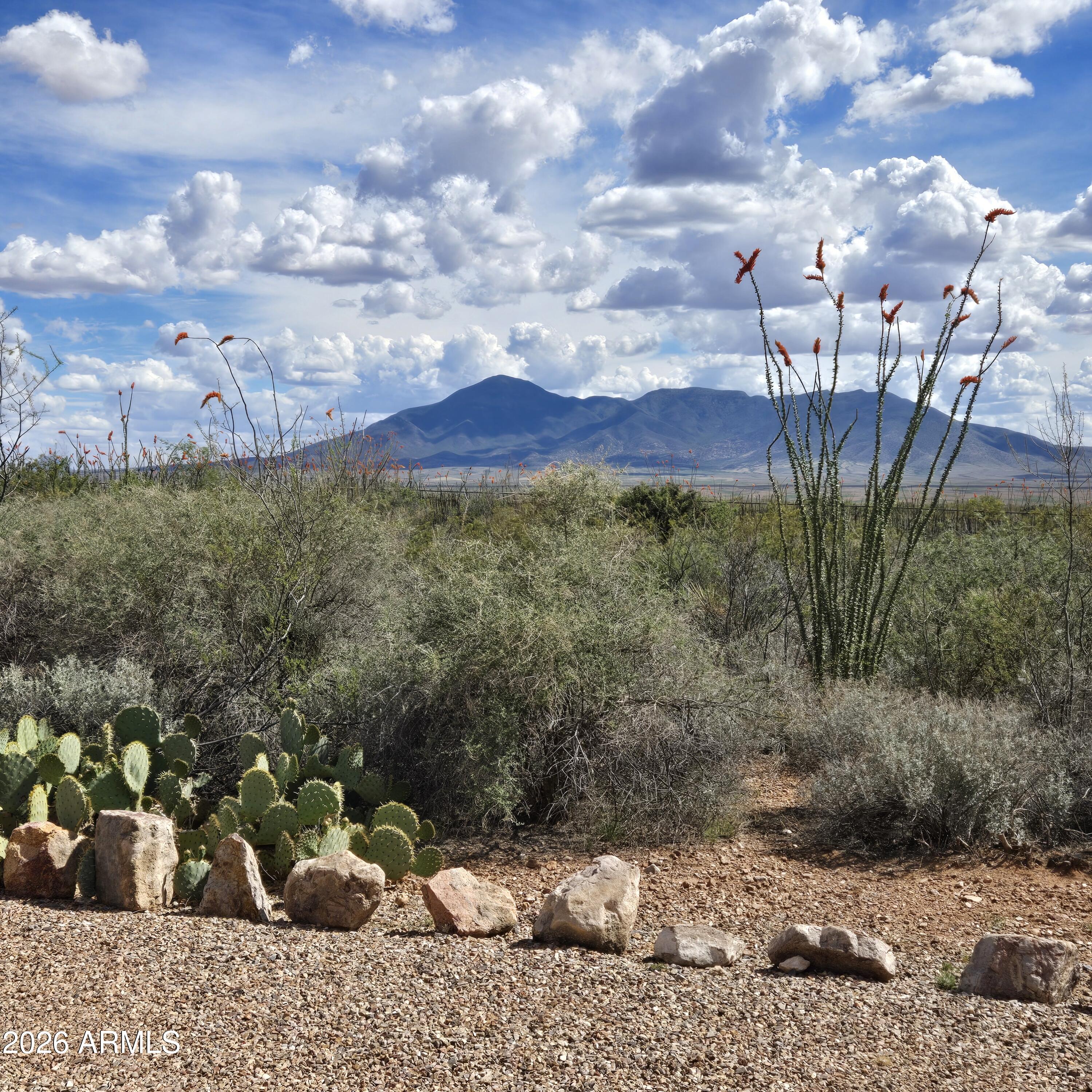 995 South Ruby Dare Road Bisbee, AZ 85603 - Photo 8 of 75 Front (4)