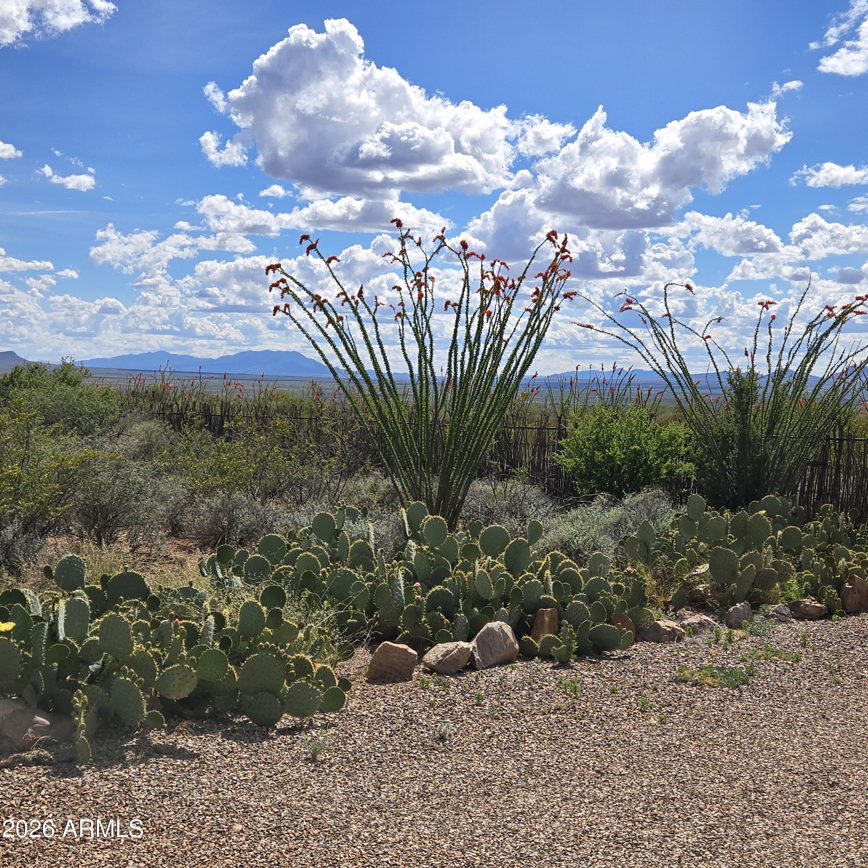 995 South Ruby Dare Road Bisbee, AZ 85603 - Photo 9 of 75 Front (5)