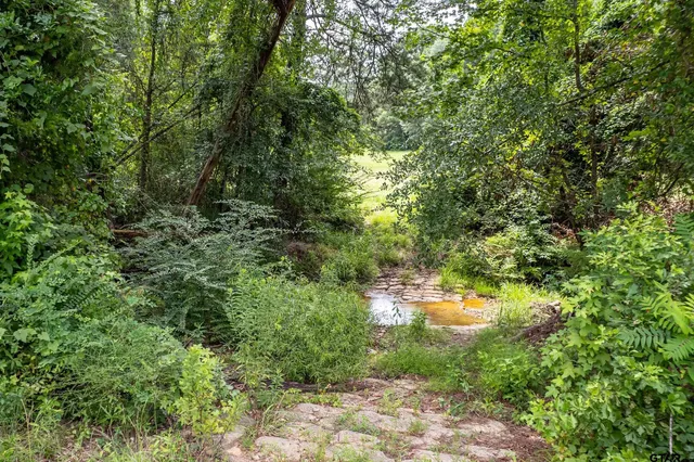 a view of a lake view with houses in back