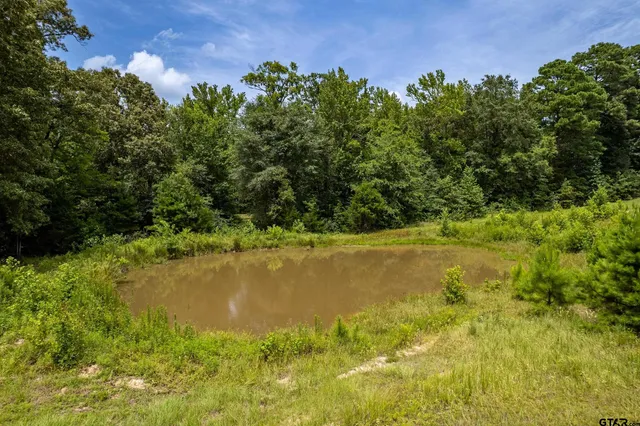 a view of a lake view with a garden