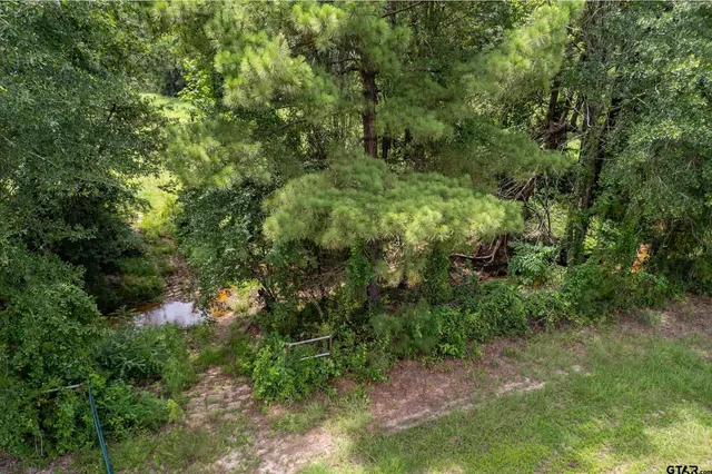 a view of a forest with lush green forest