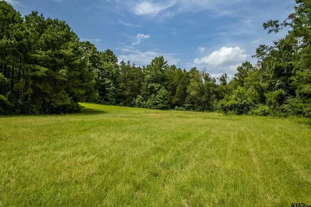 a view of yard with green space
