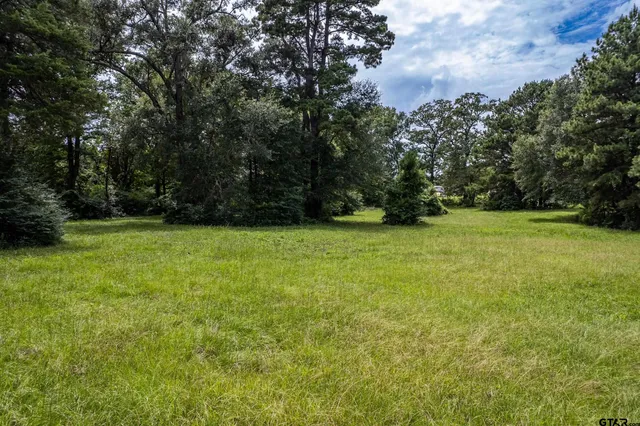 a view of a green field with trees in the background