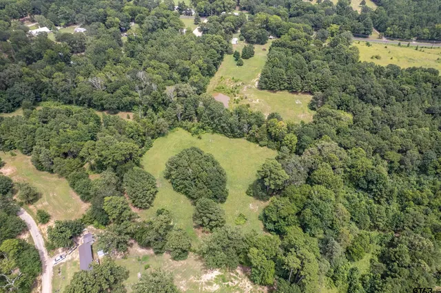 a view of a forest with a yard