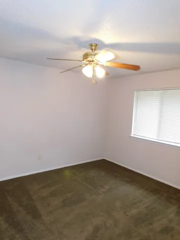 a view of a backyard with wooden fence