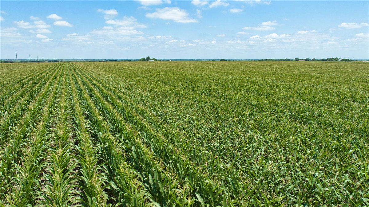 Tbd Manda Carlson Road Coupland, TX 78615 - Photo 14 of 15 a view of an ocean