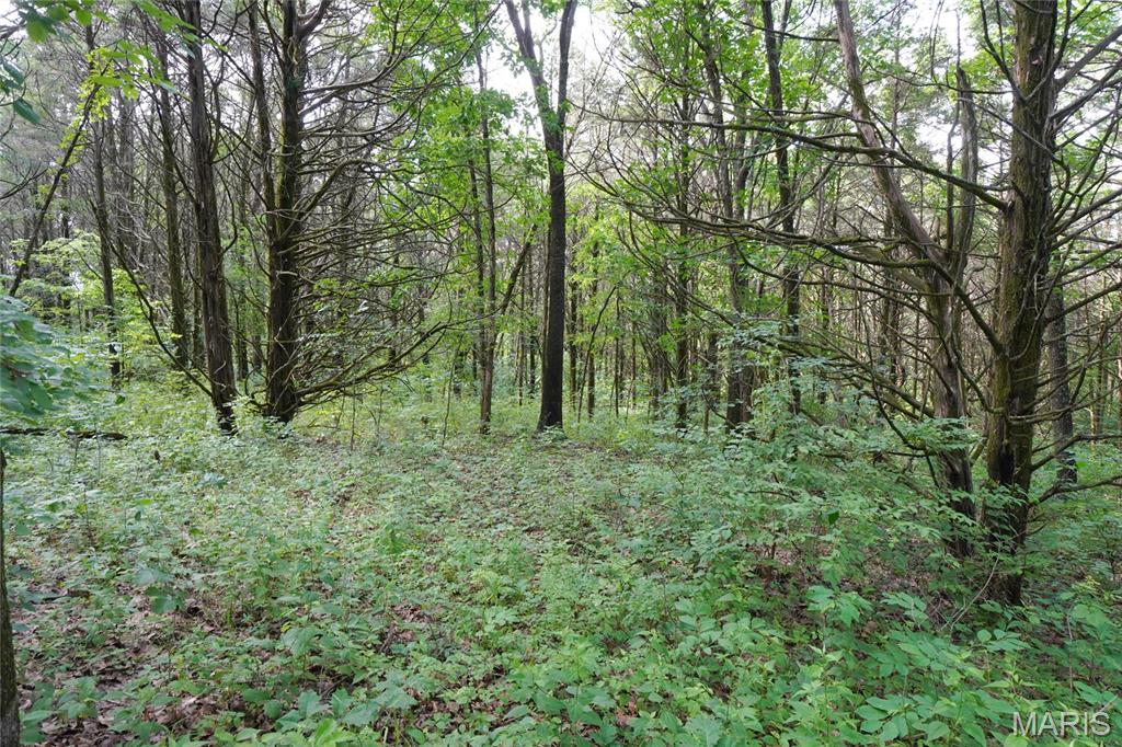 1971 Epple Road Hermann, MO 65041 - Photo 70 of 98