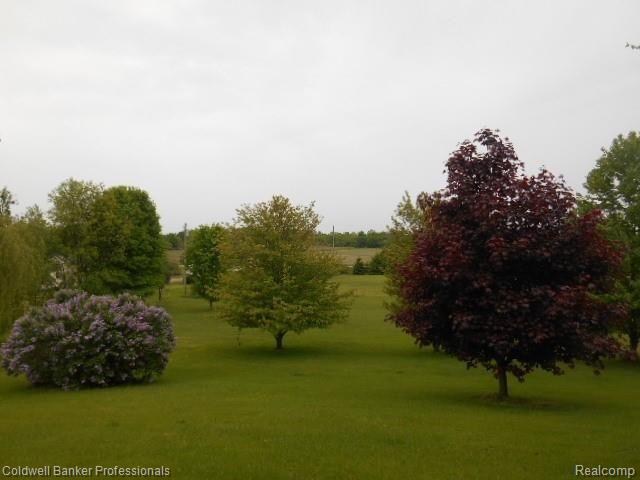 6514 Fish Lake Road North Branch, MI 48461 - Photo 35 of 39