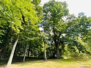 4262 Davison Road Lapeer, MI 48446 - Photo 50 of 55